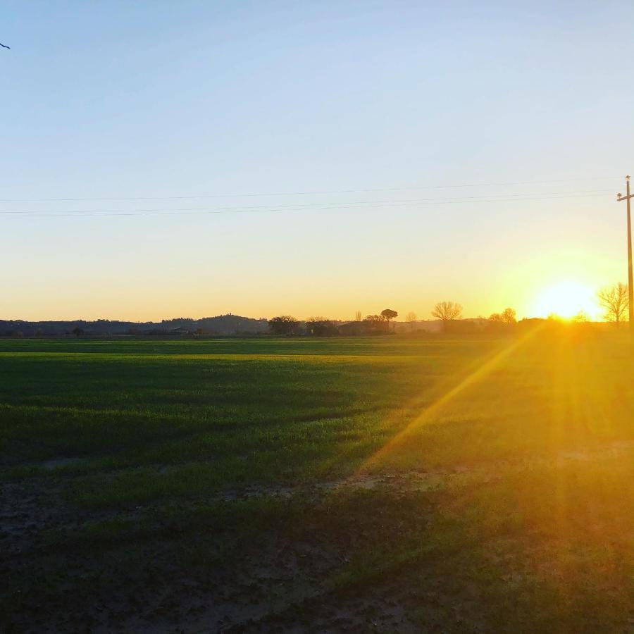 Agriturismo Le Stringaie Montepulciano Stazione Kültér fotó
